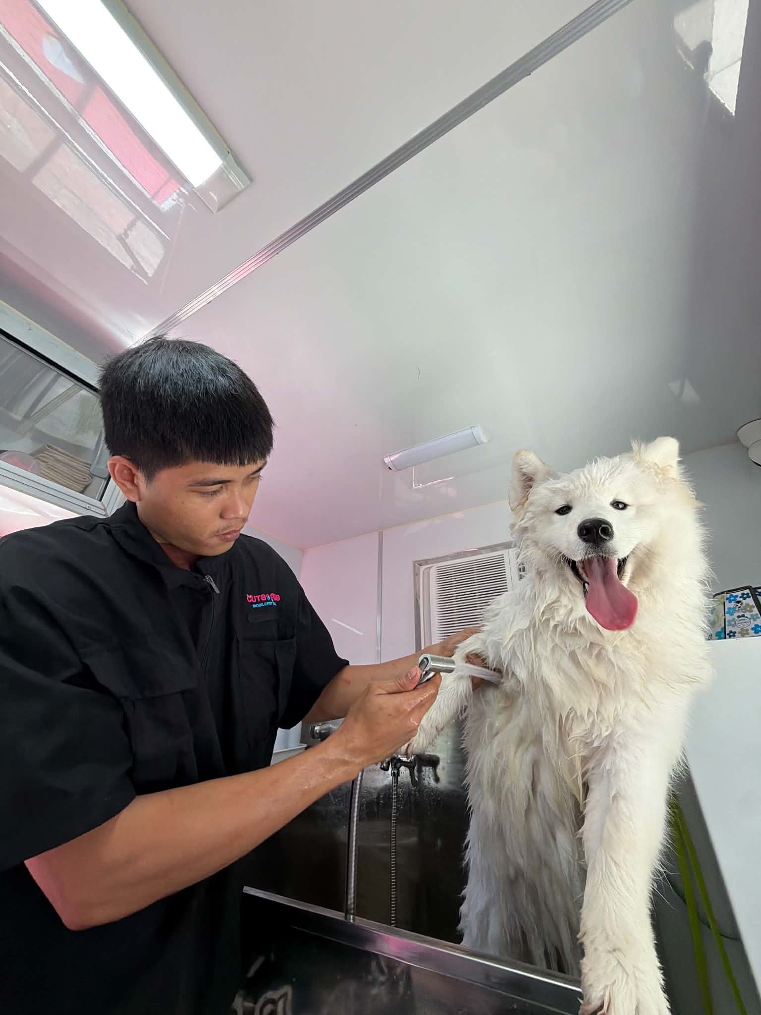 Mobile Grooming Van Interior